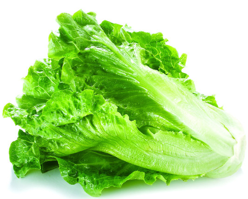 10-70m/min سرعت سیستم بازرسی اشعه ایکس برای مواد غذایی میوه و سبزیجات خارجی